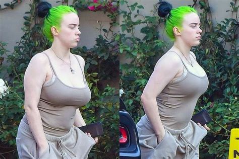 billie eilish big tits|Those tits : r/BillieEilish1